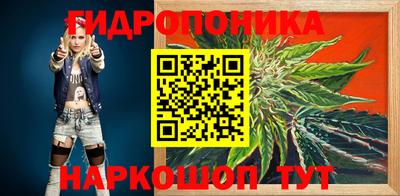 скорость Будённовск