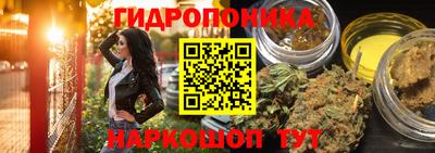 скорость Будённовск